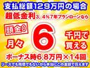 スタイルＧ　ＶＳ　ＳＡＩＩＩ　特別仕様車　パノラマカメラ　運転席・助手席シートヒーター　ＬＥＤヘッドランプ＆フォグランプ　専用内装カラー　届出済未使用車(24枚目)