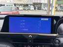Ｇアドバンスド　純正ナビゲーション　パノラマカメラ　ＥＴＣ　デジタルインナーミラー　スマートキー　ＬＥＤヘッドライト　フルオートエアコン　パワーバックドア　ＡＣ１００Ｖ電源　革巻きハンドル　オートクルーズコントロール（28枚目）