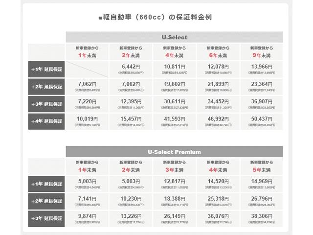 G 社外メモリーナビ フルセグTV DVD再生 Bluetooth CD エアコンディショナー パワーステアリング パワーウインドウ 運転席助手席エアバック ABS スマートキー 禁煙車 ワンオーナーカー(26枚目)