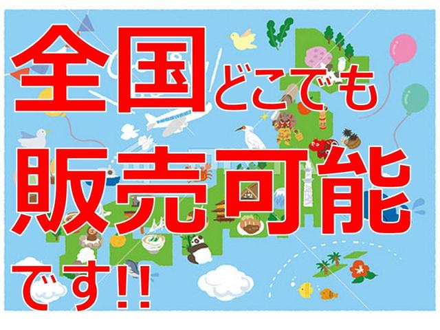 G・Lパッケージ ギャザズメモリーナビ CD SD USB ETC バックカメラ ディスチャージヘッドライト オートライト サイドカーテンエアバック スマートキー イモビライザー カーアラーム 禁煙車 ワンオーナーカー(47枚目)