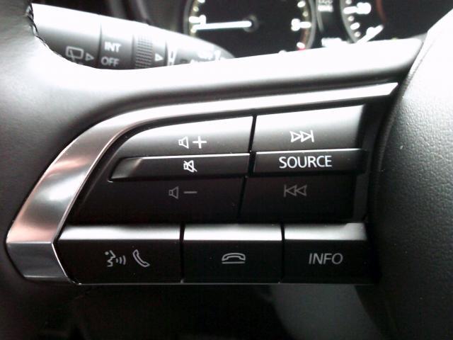 CX-30 XD ツーリング XDツーリング マツダコネクト・ナビ・TV・360度モニター・衝突軽減ブレーキ・車線逸脱警報システム・横滑り防止・パーキングアシ(13枚目)