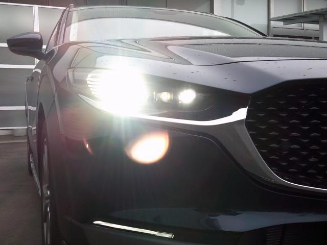 CX-30 20S ツーリング 20Sツーリング フルエアロ・ルーフレール・マツダコネクト・ナビ・TV・360度モニター・レーダークルーズコントロール・衝突軽減(10枚目)