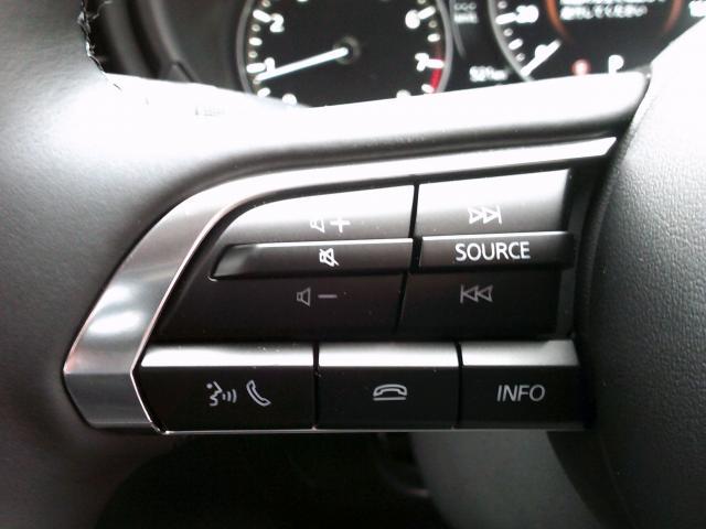 CX-30 20S ツーリング 20Sツーリング フルエアロ・ルーフレール・マツダコネクト・ナビ・TV・360度モニター・レーダークルーズコントロール・衝突軽減(11枚目)