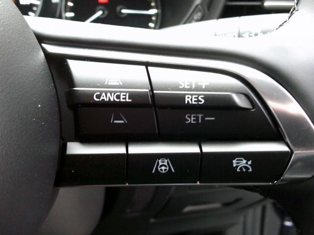 CX-30 20S ツーリング 20Sツーリング フルエアロ・ルーフレール・マツダコネクト・ナビ・TV・360度モニター・レーダークルーズコントロール・衝突軽減(12枚目)