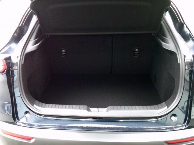 CX-30 20S ツーリング 20Sツーリング フルエアロ・ルーフレール・マツダコネクト・ナビ・TV・360度モニター・レーダークルーズコントロール・衝突軽減(20枚目)