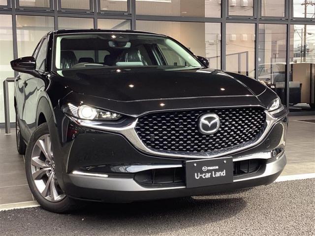 CX-30 20S Lパッケージ 20S L-Pkg 自動ブレーキ、誤発進抑制システム、電動リアゲート、電動シート、ETC、アクティブドライビングディスプレイ、レ(19枚目)