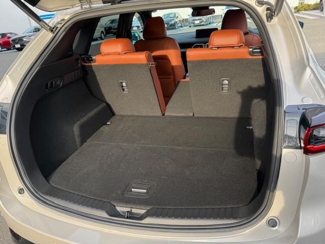 CX-5 XD レトロスポーツエディション XD レトロスポーツエディション(18枚目)