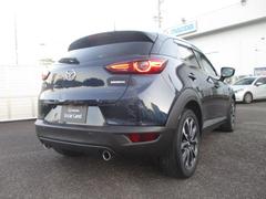 ܥǥ顼Ͽ͵Υǥץꥹ֥롼ޥǤ 2