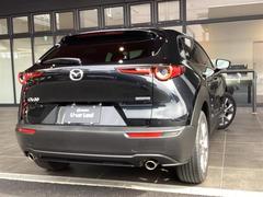 ãءݣ ӡ̥ѥåӡ̡ݣУ硡ư֥졼 0600231A20251027U001 2