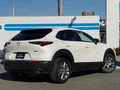 ãءݣ ӡץƥ֡ġ󥰥쥯󡡣ӡץƥ 0600231A20251121U001 2