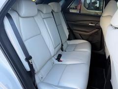 ãءݣ ӡץƥ֡ġ󥰥쥯󡡣ӡץƥ 0600231A20251121U001 4