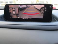 �ãءݣ��� �أġ��ӥѥå��������أġ��ӥѥå��������������륻���եƥ�������ե����ȣУˣ� 0600233A20260201U001 5