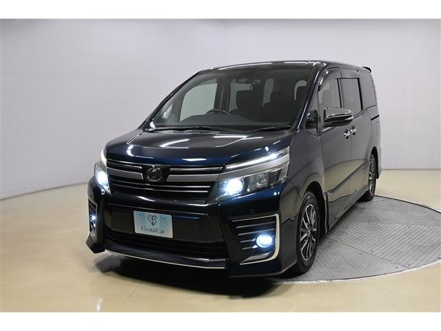 �ƂĂ����邢��Ԃ����S�̃w�b�h���C�g�ł����J�̓��▶�̓������S�ȃt�H�O�����v��������