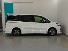 �͵��Υۥ磻�ȥѡ��륯�ꥹ���륷�㥤��Ǥ��� 3