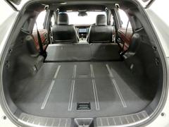 ꥢȤݤ礭ʲʪܤޤ 7