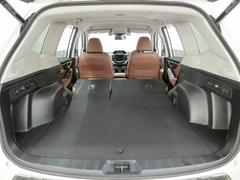 ꥢȤݤ礭ʲʪܤޤ 7