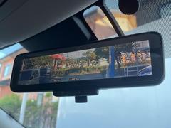 �ڥ���ƥꥸ����ȥ롼��ߥ顼�۸��ʤ��礭�ʲ�ʪ��Ʊ��ԤǸ�������ǧ���Ť餤���Ǥ�¿�������餬���Ƥ�����ξ�����α�����롼��ߥ顼���ɽ�������ꥢ�ʻ볦�Ǿ����γ�ǧ����ǽ�Ǥ��� 7