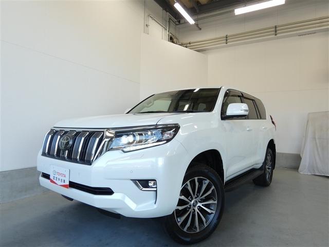 ランドクルーザープラド ＴＸ　Ｌパッケージ　リアカメラ　１オ－ナ－　スマートキ　盗難防止　キーレスエントリー　ＥＴＣ装備　３列席　ＤＶＤ再生可　エアコン　ＬＥＤランプ　レザー　アルミホイール　パートタイム４ＷＤ　横滑り防止システム　フルＴＶ（28枚目）