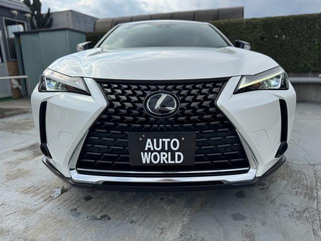 ＵＸ ＵＸ２００　ＬＥＤヘッドライト　ナビ　テレビ　バックカメラ　ＥＴＣ　ラインアシスト　クルーズコントロール　純正アルミホイール　車検２年付き　保証付き（10枚目）