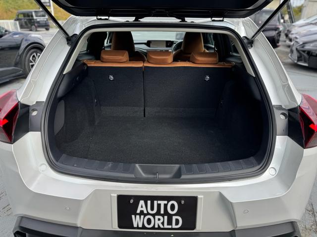 ＵＸ ＵＸ２００　ＬＥＤヘッドライト　ナビ　テレビ　バックカメラ　ＥＴＣ　ラインアシスト　クルーズコントロール　純正アルミホイール　車検２年付き　保証付き（12枚目）