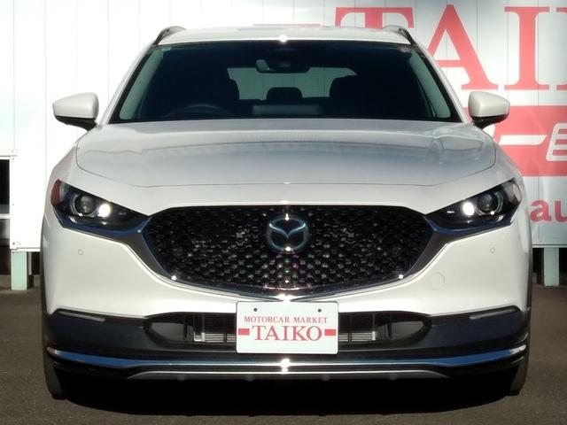 ＣＸ－３０ ２０Ｓ　アンダーガーニッシュセット　フロント　サイド　リア　リアルーフスポイラー　ルーフレール　ナンバープレートホルダー＊２　フロアーマット　全方位モニター付き純正ナビゲーション（5枚目）