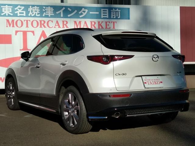 ＣＸ－３０ ２０Ｓ　アンダーガーニッシュセット　フロント　サイド　リア　リアルーフスポイラー　ルーフレール　ナンバープレートホルダー＊２　フロアーマット　全方位モニター付き純正ナビゲーション（7枚目）