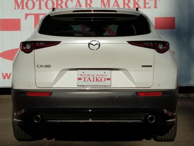 ＣＸ－３０ ２０Ｓ　アンダーガーニッシュセット　フロント　サイド　リア　リアルーフスポイラー　ルーフレール　ナンバープレートホルダー＊２　フロアーマット　全方位モニター付き純正ナビゲーション（11枚目）