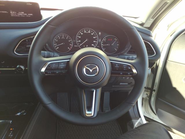 ＣＸ－３０ ２０Ｓ　アンダーガーニッシュセット　フロント　サイド　リア　リアルーフスポイラー　ルーフレール　ナンバープレートホルダー＊２　フロアーマット　全方位モニター付き純正ナビゲーション（17枚目）