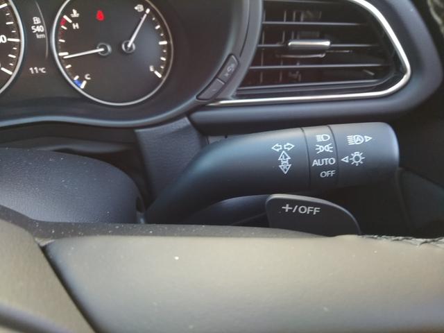 ＣＸ－３０ ２０Ｓ　アンダーガーニッシュセット　フロント　サイド　リア　リアルーフスポイラー　ルーフレール　ナンバープレートホルダー＊２　フロアーマット　全方位モニター付き純正ナビゲーション（22枚目）