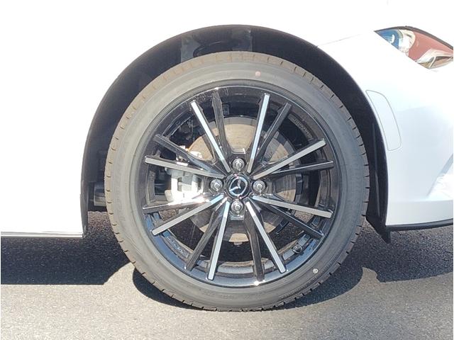 ��������ԁi���j�s�d�k�O�T�S�|�U�Q�X�|�S�P�W�W