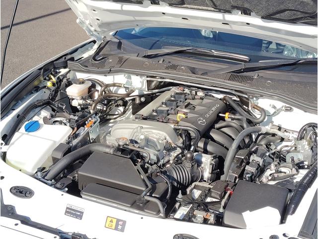 ��������ԁi���j�s�d�k�O�T�S�|�U�Q�X�|�S�P�W�W