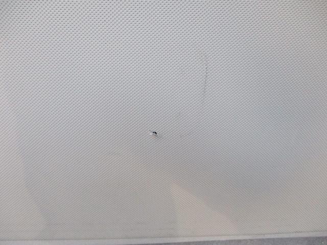 デリカＤ：５ Ｇ　パワーパッケージ　エクリプスナビ／ＴＶ／ＥＴＣ／フォグランプ／ディスチャージヘッドライト／両側電動スライドドア／ベージュ内装／ウッド調パネル／１８インチアルミホイール／２ＷＤ／アイドリングストップ／ワンオーナー（56枚目）