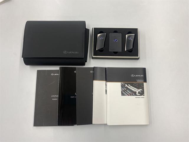 UX UX250h Fスポーツ 3眼LEDヘッドライト・・パワーバックドア・ブラインドスポットモニター・ナビ地デジ・DVD&ブルーレイ・バックカメラ・ETC・レーダークルーズ・衝突軽減・クリアランスソナー・前後2カメラドラレコ(57枚目)