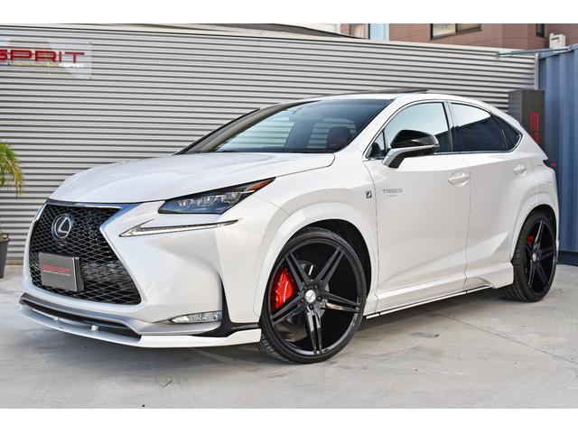 NX NX200t Fスポーツ 3眼LEDヘッドライト 電動ムーンルーフ パワーバックドア 赤革シート ESPRITフルエアロ ローダウン 22インチAW カラードフェンダー 純正ナビフルセグTV Bluetooth バックカメラ(3枚目)