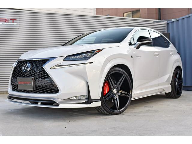 NX NX200t Fスポーツ 3眼LEDヘッドライト 電動ムーンルーフ パワーバックドア 赤革シート ESPRITフルエアロ ローダウン 22インチAW カラードフェンダー 純正ナビフルセグTV Bluetooth バックカメラ(5枚目)