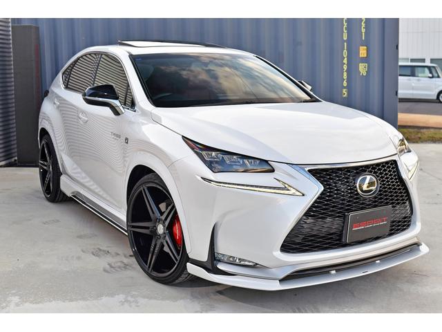 NX NX200t Fスポーツ 3眼LEDヘッドライト 電動ムーンルーフ パワーバックドア 赤革シート ESPRITフルエアロ ローダウン 22インチAW カラードフェンダー 純正ナビフルセグTV Bluetooth バックカメラ(6枚目)