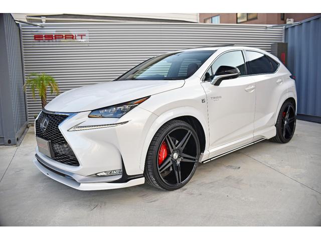 NX NX200t Fスポーツ 3眼LEDヘッドライト 電動ムーンルーフ パワーバックドア 赤革シート ESPRITフルエアロ ローダウン 22インチAW カラードフェンダー 純正ナビフルセグTV Bluetooth バックカメラ(11枚目)