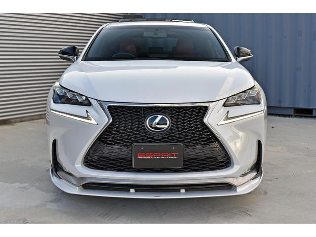 NX NX200t Fスポーツ 3眼LEDヘッドライト 電動ムーンルーフ パワーバックドア 赤革シート ESPRITフルエアロ ローダウン 22インチAW カラードフェンダー 純正ナビフルセグTV Bluetooth バックカメラ(20枚目)