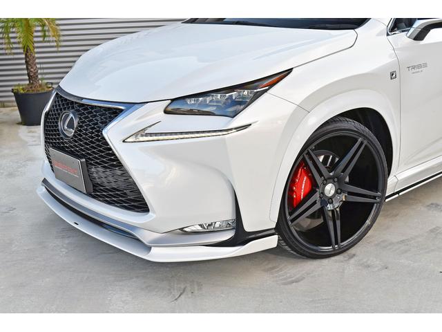 NX NX200t Fスポーツ 3眼LEDヘッドライト 電動ムーンルーフ パワーバックドア 赤革シート ESPRITフルエアロ ローダウン 22インチAW カラードフェンダー 純正ナビフルセグTV Bluetooth バックカメラ(23枚目)