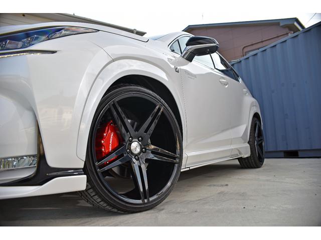 NX NX200t Fスポーツ 3眼LEDヘッドライト 電動ムーンルーフ パワーバックドア 赤革シート ESPRITフルエアロ ローダウン 22インチAW カラードフェンダー 純正ナビフルセグTV Bluetooth バックカメラ(24枚目)