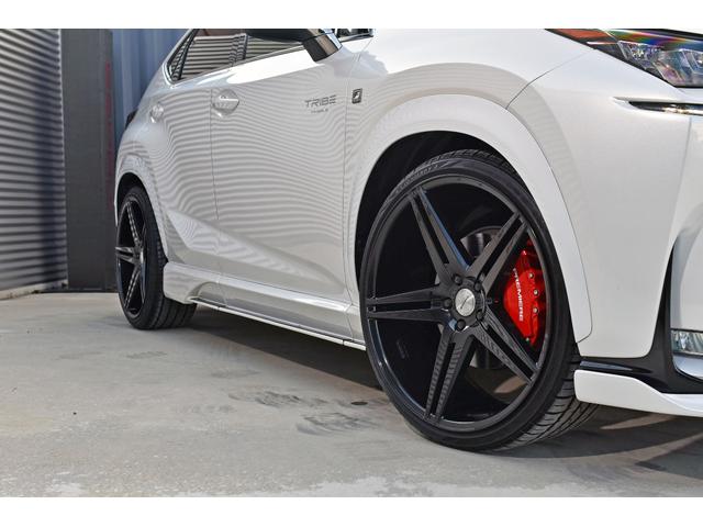 NX NX200t Fスポーツ 3眼LEDヘッドライト 電動ムーンルーフ パワーバックドア 赤革シート ESPRITフルエアロ ローダウン 22インチAW カラードフェンダー 純正ナビフルセグTV Bluetooth バックカメラ(25枚目)