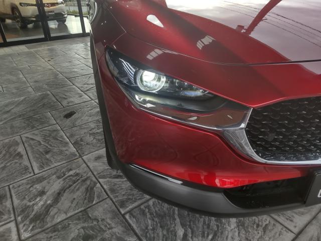 CX-30 XD プロアクティブ ツーリングセレクション XD PROACTIVE Touring Selection /パワーゲート/360°ビューモニター/シートヒーター/ハンドルヒ(5枚目)