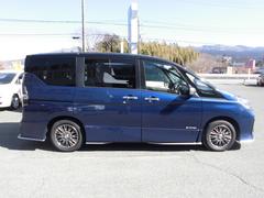  ݥѥƥåեƥѥåʥӡ֥롼ȥ 0600371A30250301W001 3