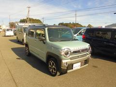 �ϥ��顼 �ʥ������롡������������ʥӡ������̥���顡�����ﳲ�ڸ��֥졼�����̣ţĥإåɥ饤�� 0600371A30251213W002 2