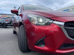 ǥߥ ӡӡףġԡ꡼ʥ 0600388A20221217U001 5