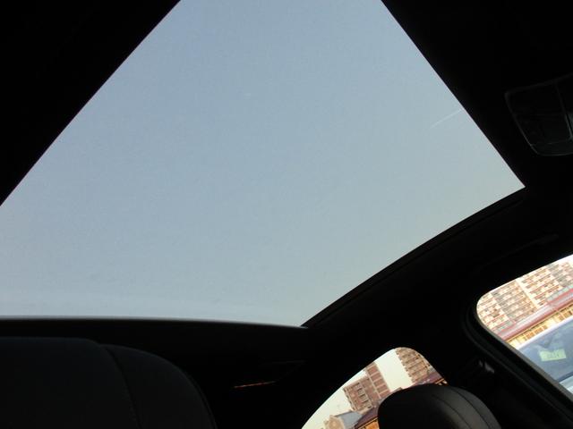 Ｓクラス Ｓ３００ｈエクスクルーシブ　ＡＭＧライン（15枚目）