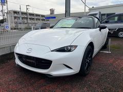 ɥ ӥڥѥå󥪡ʡʥӡХå顡ţԣ 0600413A30251023W003 2