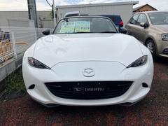 ɥ ӥڥѥå󥪡ʡʥӡХå顡ţԣ 0600413A30251023W003 3