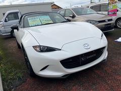 ɥ ӥڥѥå󥪡ʡʥӡХå顡ţԣ 0600413A30251023W003 4