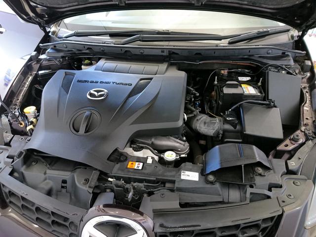 クルージングPKG 4WD プリクラ 本革 BOSE(16枚目)